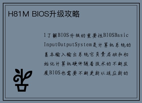 H81M BIOS升级攻略